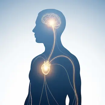 Stressreaktion: Wie Stress den Körper beeinflusst Eine minimalistische Silhouette eines Menschen, bei der leuchtende Verbindungslinien zwischen Gehirn und Herz die physische Stressreaktion und die Verbindung von Geist und Körper symbolisieren.